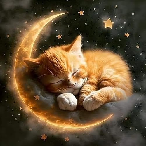 DOMROM Diamant Painting Bilder, Katze Diamant Painting Set für Erwachsene, Tier Diamant Painting Bilder Vollbohrer 5D DIY Malen nach Zahlen Diamant Anfänger für Gift Home Wall Decoration 30x30cm DOMROM Diamant Painting Bilder, Katze Diamant Painting Set für Erwachsene, Tier Diamant Painting Bilder Vollbohrer 5D DIY Malen nach Zahlen Diamant Anfänger für Gift Home Wall Decoration 30x30cm von DOMROM