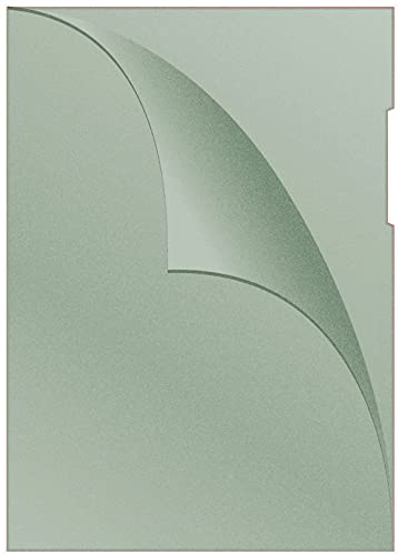 DONAU 1785095-06 Aktenhüllen vom Typ L Din A4 / 100 Stück/Farbe: Grün/PP 120 μm/Seitlich Offen Transparent Genarbt/Sichthüllen Klarsichthüllen von DONAU