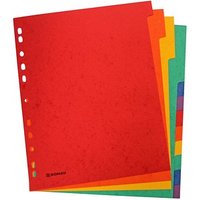 DONAU Register DIN A4+ Überbreite 12 rot, orange, gelb, grün, blau, lila 12-teilig, 1 Satz von DONAU