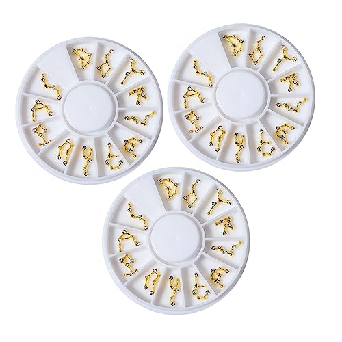 DONFAMDS Boxen Charms für Acrylnägel Tierkreiszeichen Juwelen Glänzende Strasssteine für Nagelkunst und Nagelstudios für Designs von DONFAMDS