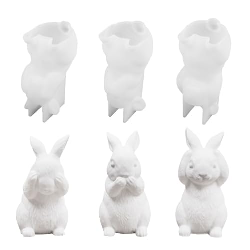 Hasenharz-Formen, 3 Stück, hören, sprechen, kein Silikon, 3D-Hasenformen für Epoxidharz, Basteln, Seife, Ton, Kerzenherstellung Hasenharz-Formen, 3 Stück, hören, sprechen, kein Silikon, 3D-Hasenformen für Epoxidharz, Basteln, Seife, Ton, Kerzenherstellung von DONGKER
