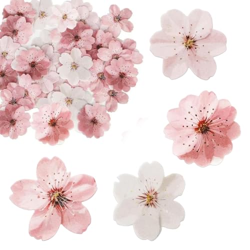 Kirschblüten Tortendeko, 50/60 Stück Cupcake Topper Blüten Deko aus Oblatenpapier, Waffel Papier Blumen für Frühlings-, Verlobungs-, Geburtstags- und Jubiläumsparty-Dekorationen Kirschblüten Tortendeko, 50/60 Stück Cupcake Topper Blüten Deko aus Oblatenpapier, Waffel Papier Blumen für Frühlings-, Verlobungs-, Geburtstags- und Jubiläumsparty-Dekorationen von DONGKER