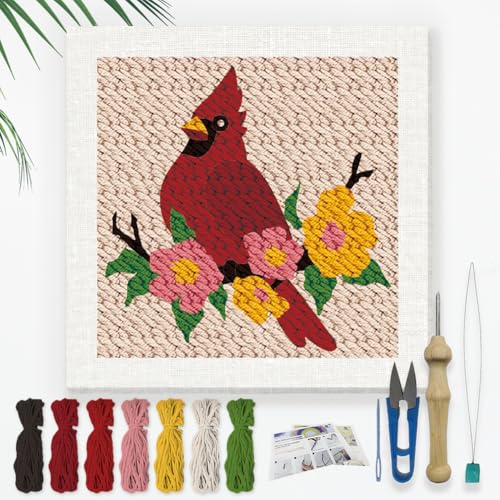DOODLREAM Kardinalvogel Stickset Zum Selbermachen Punch Needle Erwachsene Anfänger 24cm Punch Stitching Bastelset Vogel Auf Dem Zweig Anfänger Rahmen Stoffmuster Einfädler Garn Quetschnadel von DOODLREAM