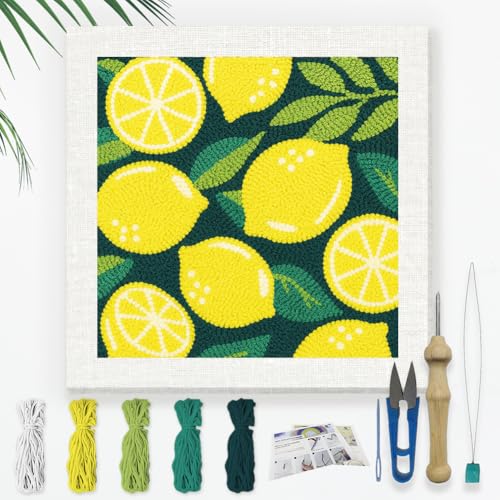 DOODLREAM Zitronenmuster DIY Punch Needle Stickset für Erwachsene und Anfänger 24cm Fruit Punch Stitching Bastelset für Anfänger mit Rahmen Stoffmuster Einfädler Garn Lochnadel von DOODLREAM