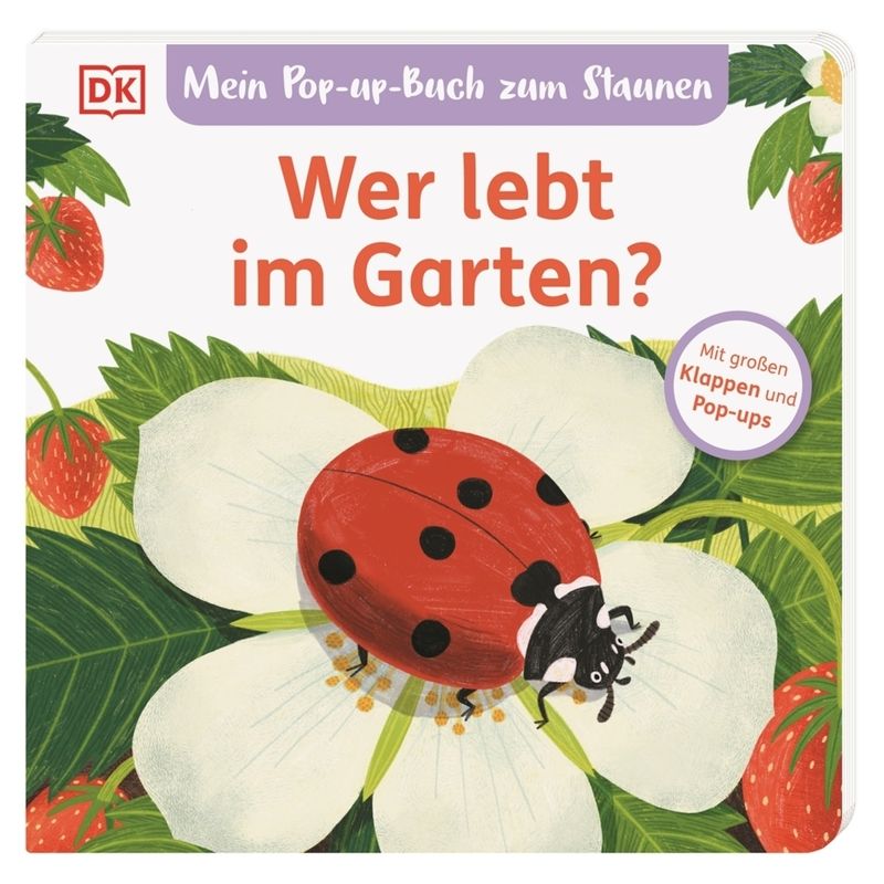 Mein Pop-Up-Buch Zum Staunen. Wer Lebt Im Garten? - Sandra Grimm, Pappband von DORLING KINDERSLEY VERLAG