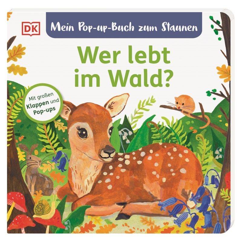 Mein Pop-Up-Buch Zum Staunen. Wer Lebt Im Wald? - Sandra Grimm, Pappband von DORLING KINDERSLEY VERLAG
