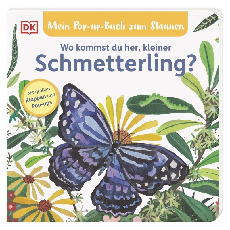 Mein Pop-Up-Buch Zum Staunen. Wo Kommst Du Her, Kleiner Schmetterling? - Sandra Grimm, Pappband von Dorling Kindersley