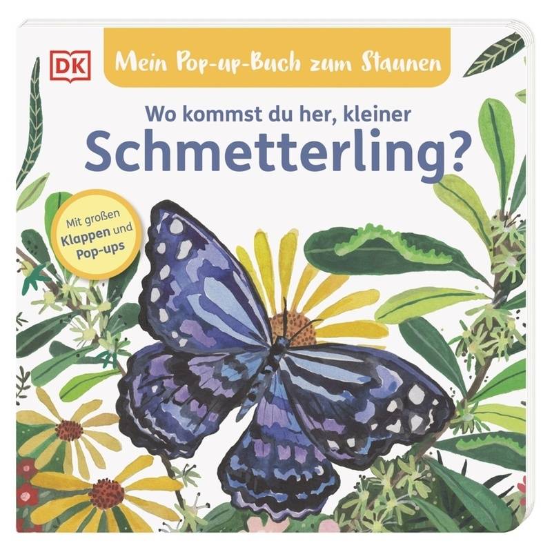 Mein Pop-Up-Buch Zum Staunen. Wo Kommst Du Her, Kleiner Schmetterling? - Sandra Grimm, Pappband von Dorling Kindersley
