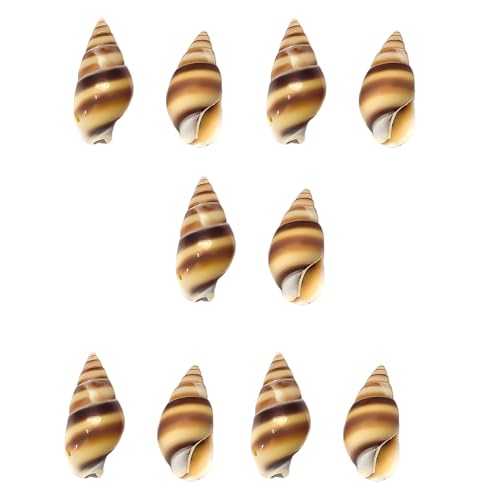 10 Stück natürliche Muschelknöpfe mit einzigartigen Mustern für Modedesigner und Bastelprojekte von DOSERTY