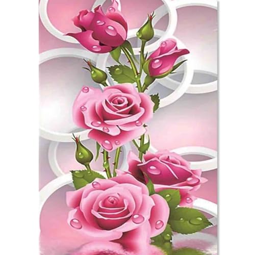 DOUKOYEE 5D DIY Diamond Painting Kinder Erwachsene Blumen Rose Bilder Malerei Bunt Muster Stickerei Kits 5D Diamantmalerei Home Wanddekoration Wohnzimmer Schlafzimmer Eingang Dekoration (A) von DOUKOYEE