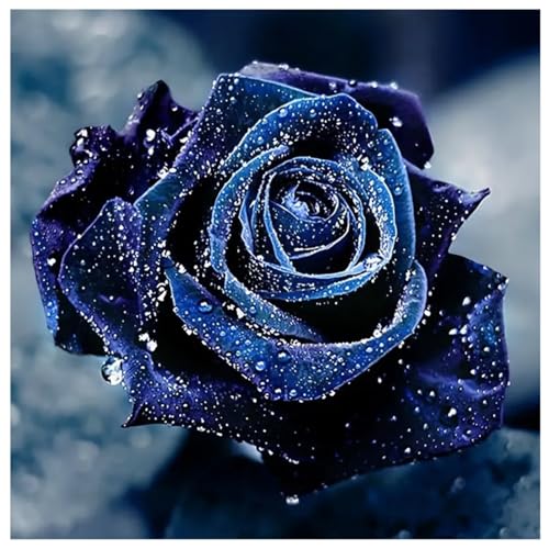 DOUKOYEE Diamond Painting Kits Rose Schmetterling Blumen Adult Kinder Diamant Bilder Malerei Set DIY Mosaikherstellung, Home Wanddekoration Wohnzimmer Schlafzimmer Wand Eingang Dekoration (BB) von DOUKOYEE