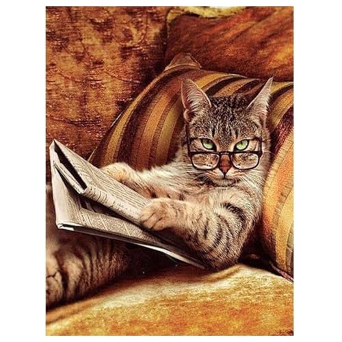 DOUKOYEE Diamond Painting für Erwachsene Kinder DIY 5D Diamant Painting Blume Tiere Katze Landschaft Dinosaurier Malen nach Zahlen Diamant Anfänger Home Wall Decor 30x40cm (C-Katze) von DOUKOYEE