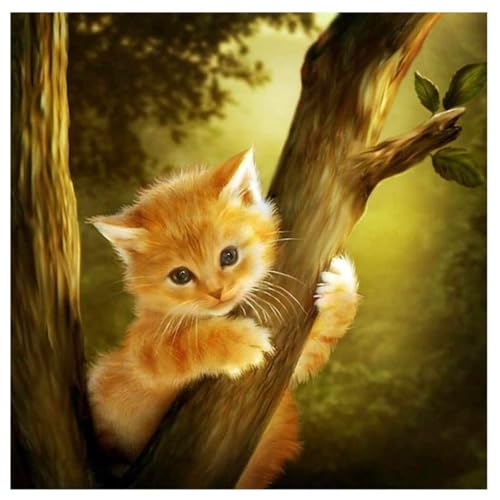 DOUKOYEE Diamond Painting für Erwachsene Kinder DIY 5D Diamant Painting Blume Tiere Katze Landschaft Dinosaurier Malen nach Zahlen Diamant Anfänger Home Wall Decor 30x40cm (N-Katze auf Bäume) von DOUKOYEE