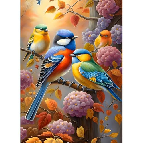 DPHERO DIY Bunte Vögel Diamant Painting Kits Bilder für Erwachsene Anfänger,5D Vögel Diamond Painting Set,DIY Blumen Runde Steine Diamant Kunst Kits, Diamant Art für Zuhause Dekor 30x40 cm DPHERO DIY Bunte Vögel Diamant Painting Kits Bilder für Erwachsene Anfänger,5D Vögel Diamond Painting Set,DIY Blumen Runde Steine Diamant Kunst Kits, Diamant Art für Zuhause Dekor 30x40 cm von DPHERO