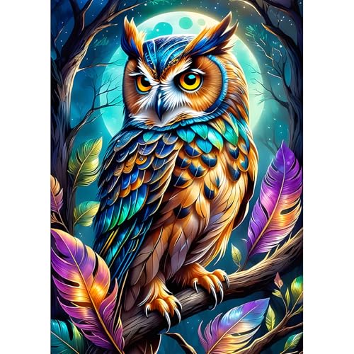 DPHERO DIY Fantasie Eule Diamant Painting Bilder für Erwachsene Anfänger,5D Mond Diamond Painting Set,DIY Nachthimmel Runde Steine Diamant Kunst Kits, Diamant Art für Zuhause Dekor 30x40 cm von DPHERO