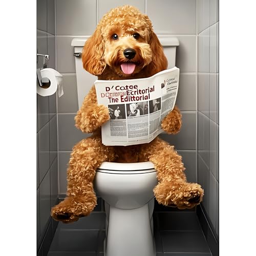 DPHERO DIY Hund Liest Zeitung Diamant Painting Kits Bilder für Erwachsene Anfänger,5D Toilette Diamond Painting Set,DIY Runde Steine Waschraum Diamant Kunst Kits, Diamant Art für Zuhause Dekor 30x40cm von DPHERO