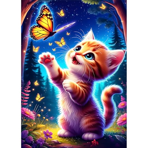 DPHERO DIY Kätzchen Diamant Painting Kits Bilder für Erwachsene Anfänger,5D Nachthimmel Diamond Painting Set,DIY Runde Steine Schmetterling Diamant Kunst Kits, Diamond Art für Zuhause Dekor 30x40 cm DPHERO DIY Kätzchen Diamant Painting Kits Bilder für Erwachsene Anfänger,5D Nachthimmel Diamond Painting Set,DIY Runde Steine Schmetterling Diamant Kunst Kits, Diamond Art für Zuhause Dekor 30x40 cm von DPHERO
