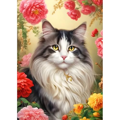 DPHERO DIY Langhaarige Katze Diamant Painting Kits Bilder für Erwachsene Anfänger,5D Pfingstrose Diamond Painting Set,DIY Runde Steine Blumen Diamant Kunst Kits, Diamond Art für Zuhause Dekor 30x40 cm von DPHERO