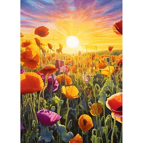DPHERO DIY Mohn Blumen Diamant Painting Kits Bilder für Erwachsene Anfänger,5D Sonnenuntergang Diamond Painting Set,DIY Runde Steine Diamant Kunst Kits, Blumen Diamant Art für Zuhause Dekor 30x40 cm DPHERO DIY Mohn Blumen Diamant Painting Kits Bilder für Erwachsene Anfänger,5D Sonnenuntergang Diamond Painting Set,DIY Runde Steine Diamant Kunst Kits, Blumen Diamant Art für Zuhause Dekor 30x40 cm von DPHERO