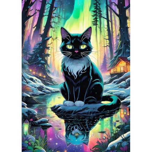 DPHERO DIY Nordlichter Diamant Painting Bilder für Erwachsene Anfänger,5D Schwarze Katze Diamond Painting Set,DIY Kätzchen Runde Steine Diamant Kunst Kits, Diamant Art für Zuhause Dekor 30x40cm DPHERO DIY Nordlichter Diamant Painting Bilder für Erwachsene Anfänger,5D Schwarze Katze Diamond Painting Set,DIY Kätzchen Runde Steine Diamant Kunst Kits, Diamant Art für Zuhause Dekor 30x40cm von DPHERO