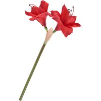 Amaryllis, L 37 cm Amaryllis, L 37 cm von DPI