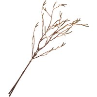 Birkenzweig-Bund von DPI