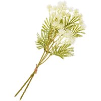 Blütenstand-Zweig - Cream von DPI