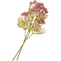 Blütenstand-Zweig - Fuchsia von DPI