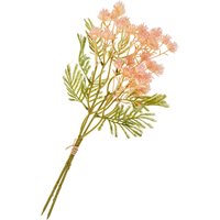 Blütenstand-Zweig - Rose von DPI