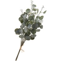 Eukalyptus Bund "Ella" von DPI