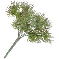 Flechten-Pick "Freddy" von DPI