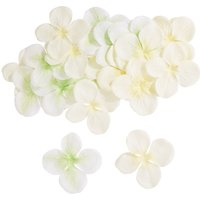 Hortensien-Blüten - Cream von DPI