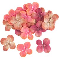 Hortensien-Blüten - Peach von DPI