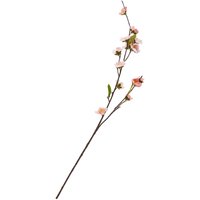 Kirschblüten-Zweig "Peach" von DPI