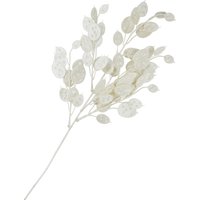Lunaria Zweig mit Glitzer Lunaria Zweig mit Glitzer von DPI