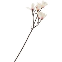 Magnolien-Pick mit 6 Blüten von DPI