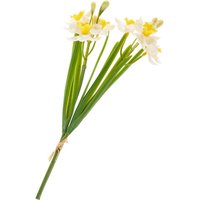 Narzissen-Bund "Yellow / White" von DPI