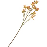 Sukkulenten Zweig - Orange Sukkulenten Zweig - Orange von DPI