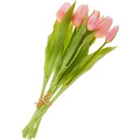 Tulpen-Bund mit 3 Blüten und 2 Knospen - Light Rose von DPI