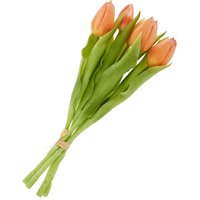 Tulpen-Bund mit 3 Blüten und 2 Knospen - Salmon von DPI