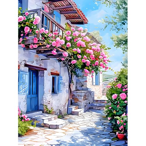 DPIDEA Diamond Painting für Erwachsene, 5D Diamant Painting Bilder Haus Blumen 5D DIY Diamond Painting für Zuhause Dekor 30x40 cm von DPIDEA