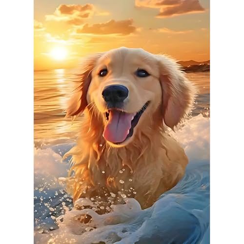 DPIDEA Hund Diamant Painting Bilder für Erwachsene, 5D Welpe Diamond Painting, DIY Diamond Painting Bilder Hund, Runde Steine Diamant Painting für Zuhause Dekor 30x40 cm DPIDEA Hund Diamant Painting Bilder für Erwachsene, 5D Welpe Diamond Painting, DIY Diamond Painting Bilder Hund, Runde Steine Diamant Painting für Zuhause Dekor 30x40 cm von DPIDEA