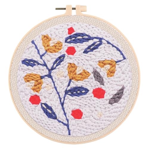 DQZRTUECA Hand Stickerei Kit, Sticknadel-Set AB Geschenkpaket Mehrfarbig(20,Gift package) von DQZRTUECA