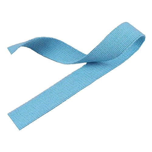 Nylon Gurtband Fischgrätenmuster, Gurtband aus Polyester-Baumwolle, 2,5 cm x 4,5–45 m, 1,3 mm Dicke, mehrfarbig, mehrere Größen(Sky Blue,20 yard) von DQZRTUECA