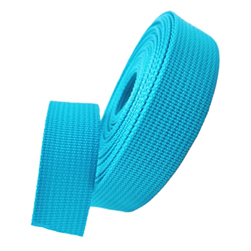 Nylon Gurtband Fischgrätenmuster, Polypropylen-Gurtband, 25 mm, mehrfarbig, 5–50 Yard(Sky Blue,10 yard) von DQZRTUECA
