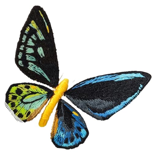 gestickte aufnäher Anfänger Schmetterling Stickerei Kits mit Reifen Diy Hand Brosche Stickerei Kit Nähen Handgemachte Handarbeiten Kreuzstich Set Dekor(Embroidery Kit-O) von DSFIHJO