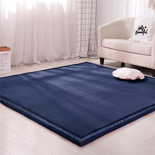 DSSHENGDS Küche Schlafzimmern Schlafsaal, Teppich, Extra Weich Dick Korallensamt-Teppich Groß Krabbelmatte mit Rutschfester Unterseite einfarbige 2cm-E- 80 * 200cm von DSSHENGDS