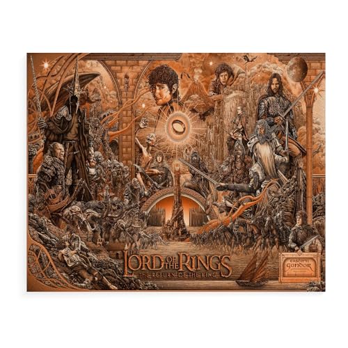 DTASSVEW Malen Nach Zahlen Erwachsene Kinder Anfänger, Der Herr Der Ringe DIY Paint by Numbers, Handgemalt Ölgemälde Auf Leinwand, Serie Poster-D266 -Mehrere Größen von DTASSVEW