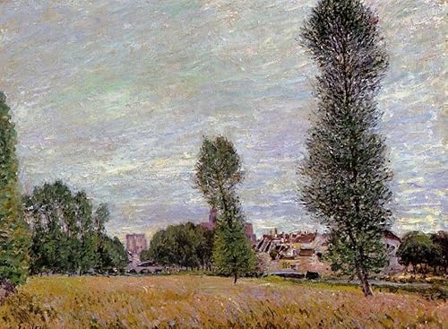 DTAUPREB DIY Ölgemälde für Erwachsene und Kinder Alfred Sisley Dorffelder Malen nach Zahlen Zeichnen auf Leinwand Kunstdekor DTAUPREB DIY Ölgemälde für Erwachsene und Kinder Alfred Sisley Dorffelder Malen nach Zahlen Zeichnen auf Leinwand Kunstdekor von DTAUPREB