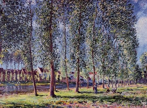 DTAUPREB DIY Ölgemälde für Erwachsene und Kinder Alfred Sisley Pappelallee Malen nach Zahlen Zeichnung auf Leinwand Kunstdekor DTAUPREB DIY Ölgemälde für Erwachsene und Kinder Alfred Sisley Pappelallee Malen nach Zahlen Zeichnung auf Leinwand Kunstdekor von DTAUPREB